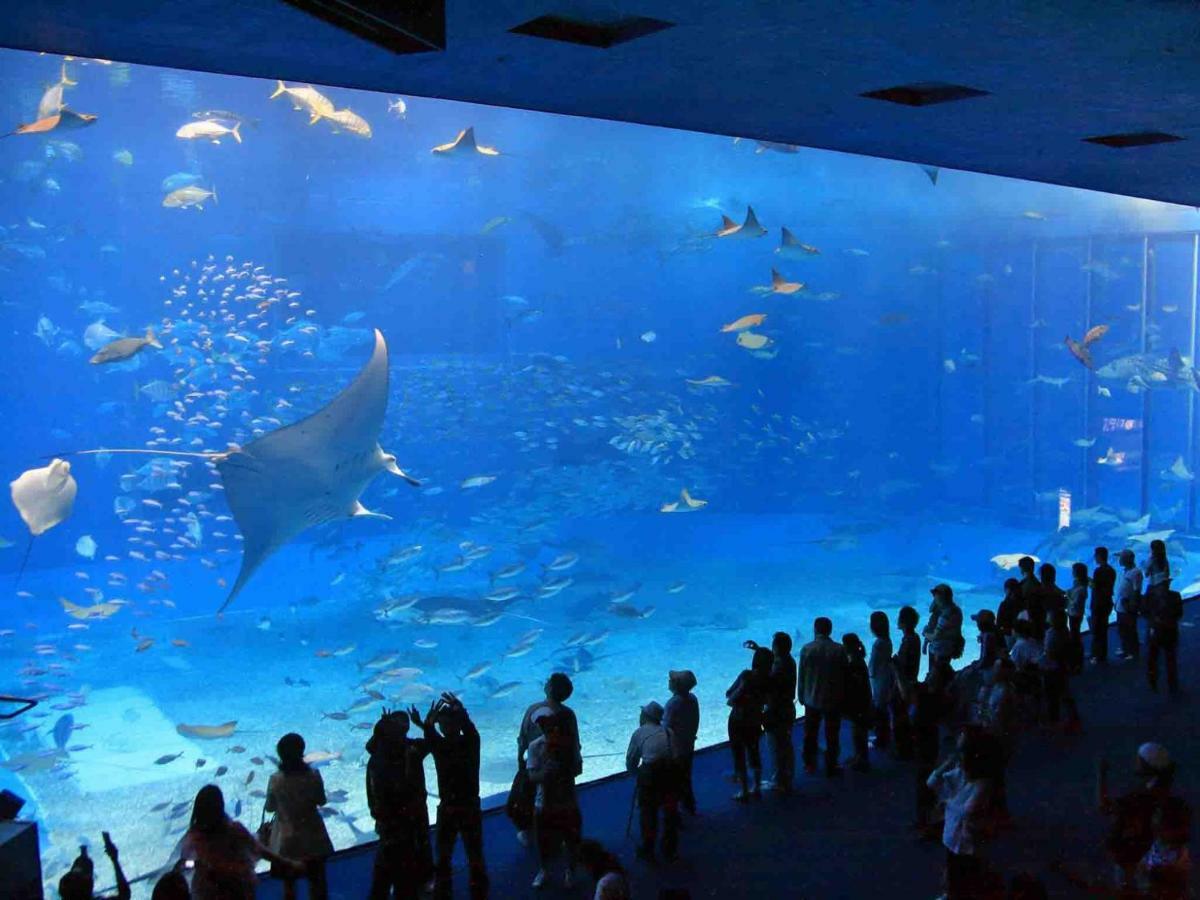 Okinawa City Hotel المظهر الخارجي الصورة